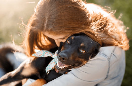 Dog Adoption: How to Find the Perfect Companion for Your Family!